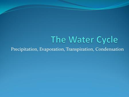 Precipitation, Evaporation, Transpiration, Condensation.