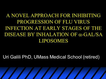Uri Galili PhD, UMass Medical School (retired) A NOVEL APPROACH FOR INHIBITING PROGRESSION OF FLU VIRUS INFECTION AT EARLY STAGES OF THE DISEASE BY INHALATION.