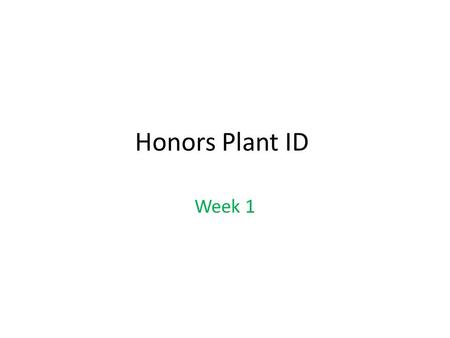 Honors Plant ID Week 1. Buxus microphylla ‘japonica’ Japanese Boxwood Height: 4-5’ Spread: 3-4’ Yellow-green new leaves 1.5-1” long and ¼- 1/2” wide green.