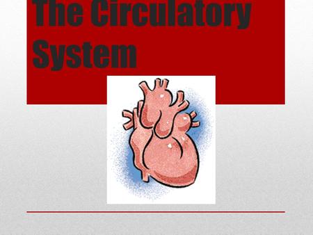 The Circulatory System. Function It’s main function is Transportation Blood is used as a transport vehicle transports oxygen, nutrients, cell waste (such.