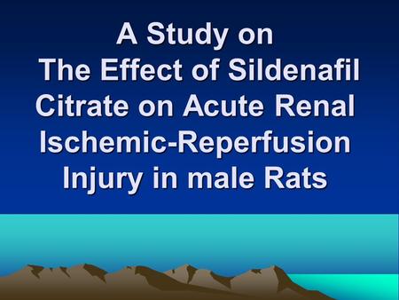 A Study on The Effect of Sildenafil Citrate on Acute Renal Ischemic-Reperfusion Injury in male Rats.