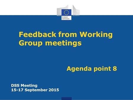 Feedback from Working Group meetings Agenda point 8 DSS Meeting 15-17 September 2015.