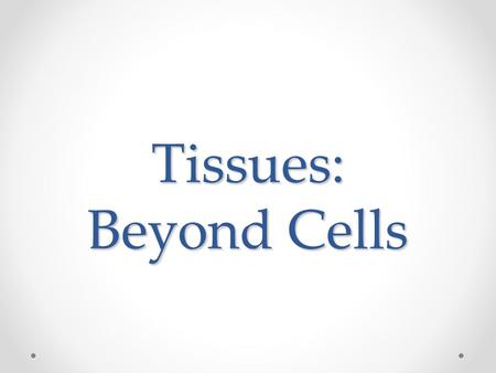 Tissues: Beyond Cells. All cells come from previously existing cells. One fertilized egg (zygote) undergoes mitosis many, many times to produce a baby.
