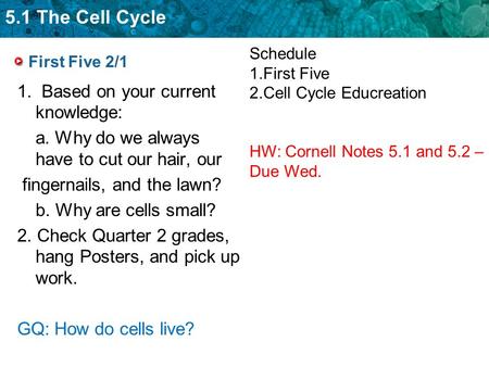 5.1 The Cell Cycle First Five 2/1 1. Based on your current knowledge: a. Why do we always have to cut our hair, our fingernails, and the lawn? b. Why are.
