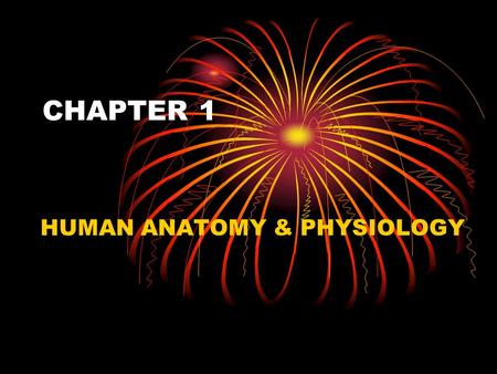 CHAPTER 1 HUMAN ANATOMY & PHYSIOLOGY. The Human Body An Orientation Anatomy – study of the structure and shape of the body and its parts Physiology –