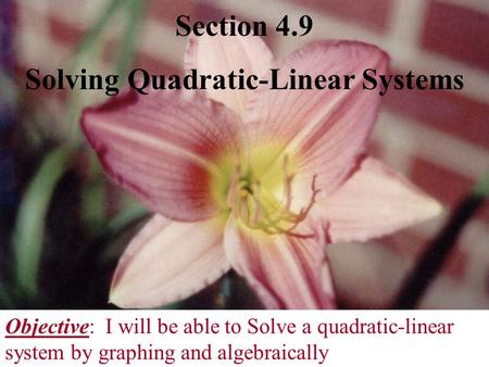 Solving Quadratic-Linear Systems