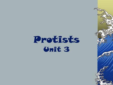 Protists Unit 3. Pond water video reflection- IN: After watching the video clip “Pond Water” respond to the following: List & describe three things you.
