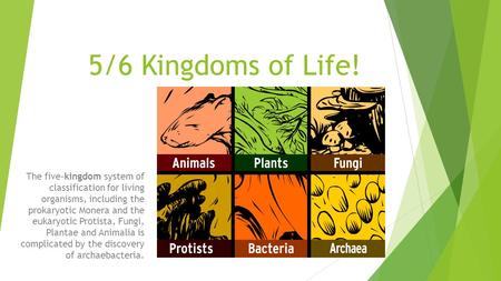 5/6 Kingdoms of Life! The five-kingdom system of classification for living organisms, including the prokaryotic Monera and the eukaryotic Protista,