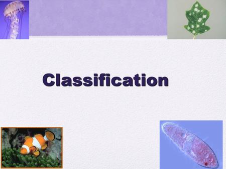 Classification Go to Section:. The Challenge Biologists have identified and named approximately 1.5 million species so far. They estimate that between.