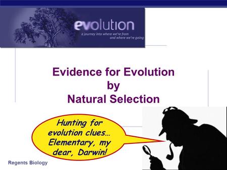Regents Biology 2006-2007 Evidence for Evolution by Natural Selection Hunting for evolution clues… Elementary, my dear, Darwin!