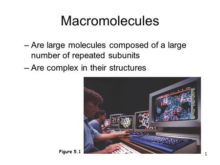 1 Macromolecules –Are large molecules composed of a large number of repeated subunits –Are complex in their structures Figure 5.1.
