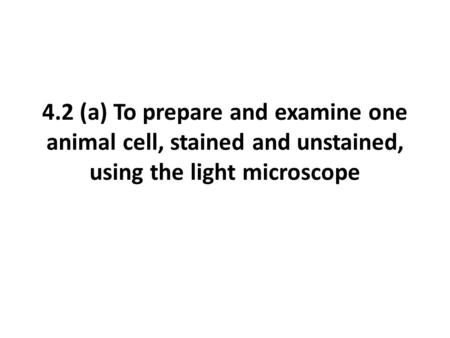 4.2 (a) To prepare and examine one animal cell, stained and unstained, using the light microscope.