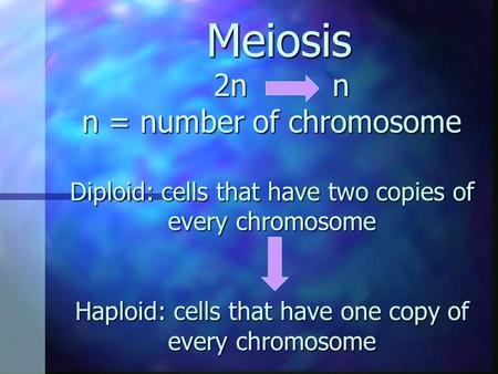 Meiosis 2n n n = number of chromosome Diploid: cells that have two copies of every chromosome Haploid: cells that have one copy of every chromosome Meiosis.