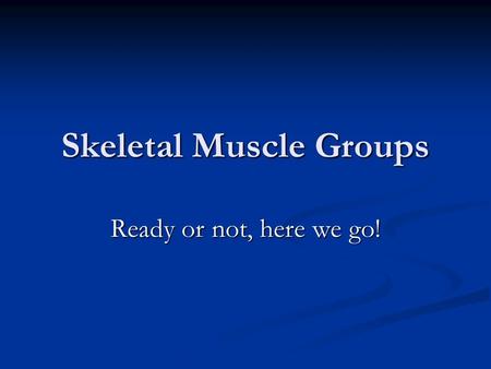 Skeletal Muscle Groups Ready or not, here we go!.