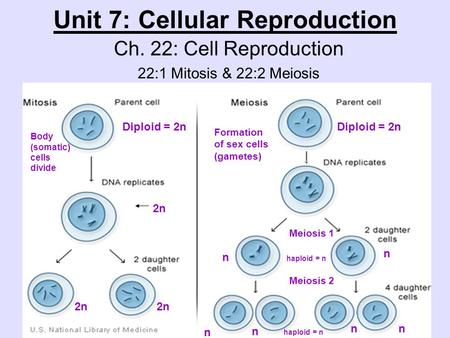 Unit 7: Cellular Reproduction
