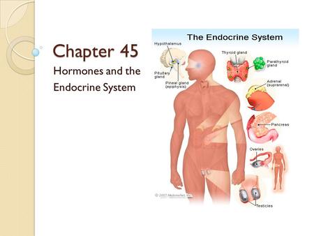 Chapter 45 Hormones and the Endocrine System. Overview Metamorphosis – controlled by hormones Hormones – secreted into extracellular fluid/circulates.