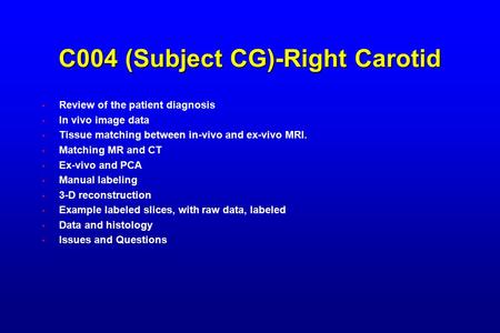 C004 (Subject CG)-Right Carotid Review of the patient diagnosis In vivo image data Tissue matching between in-vivo and ex-vivo MRI. Matching MR and CT.