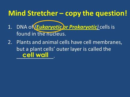 Mind Stretcher – copy the question! 1.DNA of (Eukaryotic or Prokaryotic) cells is found in the nucleus. 2.Plants and animal cells have cell membranes,