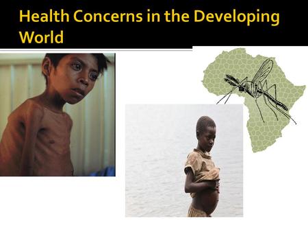  Most deaths in the developing world are attributable to contaminated water  Diarrhoea  Cholera  Billharzia.