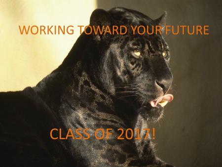 Class of 2014 Work Towards the Future Today WORKING TOWARD YOUR FUTURE CLASS OF 2017!