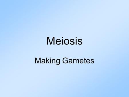 Meiosis Making Gametes. Mitosis Review Mitosis: Division of the Nucleus ProphaseMetaphaseAnaphaseTelophase How many times does the nucleus divide in mitosis?ONE.