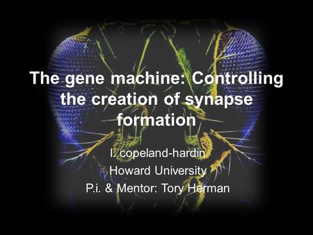 The gene machine: Controlling the creation of synapse formation l. copeland-hardin Howard University P.i. & Mentor: Tory Herman.