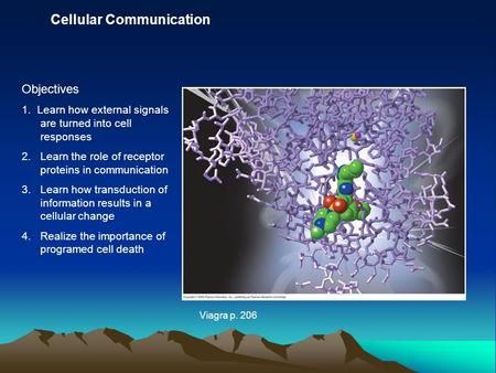 Cellular Communication Objectives 1. Learn how external signals are turned into cell responses 2.Learn the role of receptor proteins in communication 3.Learn.
