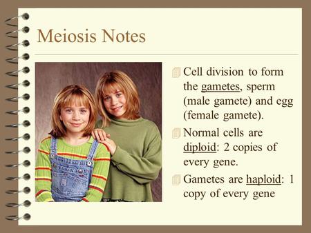 Meiosis Notes 4 Cell division to form the gametes, sperm (male gamete) and egg (female gamete). 4 Normal cells are diploid: 2 copies of every gene. 4 Gametes.