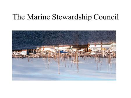 The Marine Stewardship Council. State of Fisheries Resource 47% of stocks for which information is available are fully fished, 15% are over-exploited,
