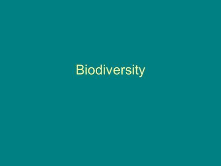 Biodiversity. Bellwork: What is extinction? Why are humans so worried about the extinction of organisms? 4 things I learned3 things I want to know more.