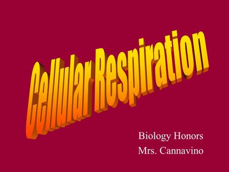 Biology Honors Mrs. Cannavino. Write the formula for cellular respiration Label the reactants (inputs) Label the products (outputs) Circle the purpose.