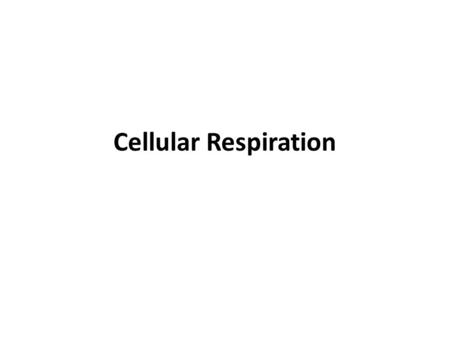 Cellular Respiration. What is the purpose of cellular respiration? To get energy to all of your cells in a useable form I’m so happy—I have enough energy.