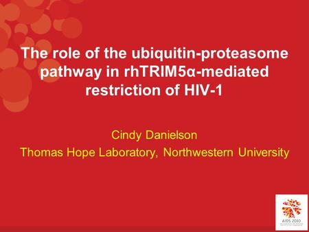 The role of the ubiquitin-proteasome pathway in rhTRIM5α-mediated restriction of HIV-1 Cindy Danielson Thomas Hope Laboratory, Northwestern University.