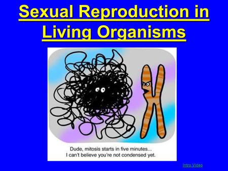 Sexual Reproduction in Living Organisms Intro Video Intro Video.