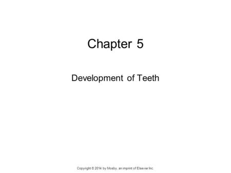 Chapter 5 Development of Teeth Copyright © 2014 by Mosby, an imprint of Elsevier Inc.