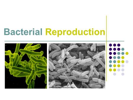 Bacterial Reproduction. 2/22/20162 Introduction Bacteria can reproduce in one of two ways: 1. Asexually 2. Sexually.