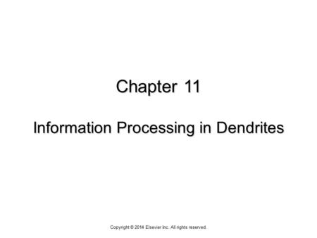 Chapter 11 Information Processing in Dendrites Copyright © 2014 Elsevier Inc. All rights reserved.