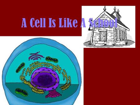 A Cell Is Like A School.