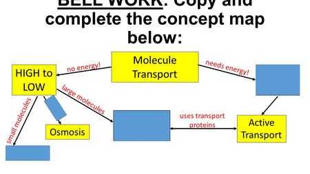 BELL WORK: Copy and complete the concept map below: Molecule Transport HIGH to LOW LOW to HIGH Diffusion Facilitated Diffusion Osmosis Active Transport.