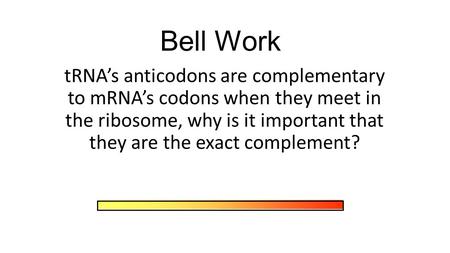 Bell Work tRNA’s anticodons are complementary to mRNA’s codons when they meet in the ribosome, why is it important that they are the exact complement?