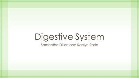 Digestive System Samantha Dillon and Kaelyn Rosin.