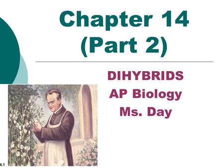 Chapter 14 (Part 2) DIHYBRIDS AP Biology Ms. Day.