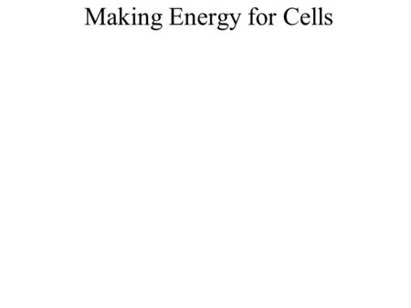 Making Energy for Cells. Energy Energy is needed to maintain homeostasis All energy on earth originates from the sun.