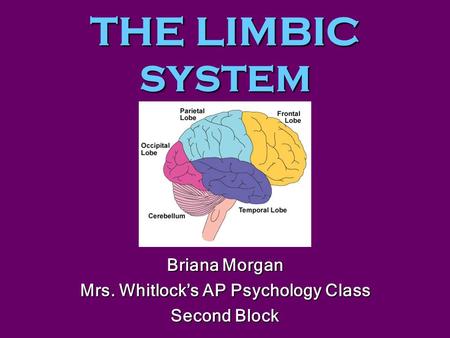 THE LIMBIC SYSTEM Briana Morgan Mrs. Whitlock’s AP Psychology Class Second Block.