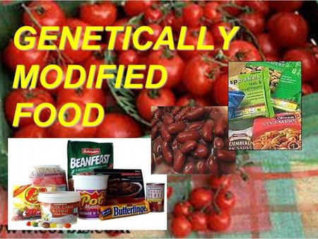 persuasive essay genetically modified food