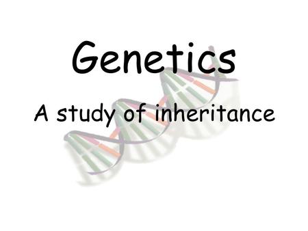 Genetics A study of inheritance Gregor Mendel Father of modern genetics Conducted research with pea plants Developed ideas of dominance and trait segregation.