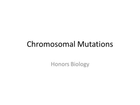 Chromosomal Mutations Honors Biology. Review: Gene Mutations “Micromutations” Small changes to DNA – One or several bases – Change can be positive, negative,