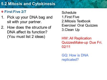 5.2 Mitosis and Cytokinesis First Five 2/7 1.Pick up your DNA bag and sit with your partner. 2.How does the structure of DNA affect its function? (You.