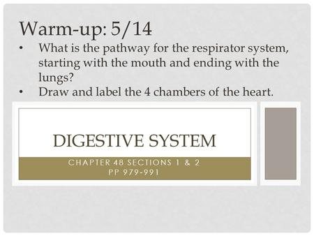 CHAPTER 48 SECTIONS 1 & 2 PP 979-991 DIGESTIVE SYSTEM Warm-up: 5/14 What is the pathway for the respirator system, starting with the mouth and ending with.