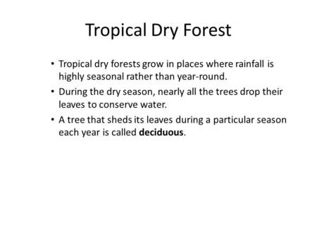 Tropical Dry Forest Tropical dry forests grow in places where rainfall is highly seasonal rather than year-round. During the dry season, nearly all the.